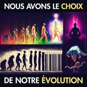 Evolution homme